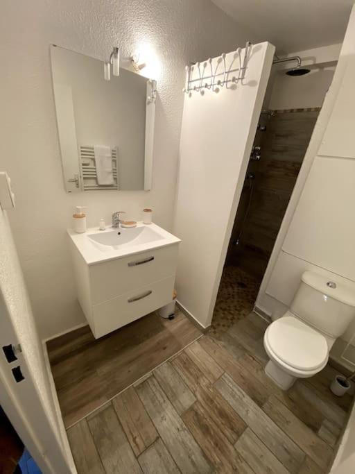 카네트 Studio Cabine Avec Jardin 아파트 외부 사진